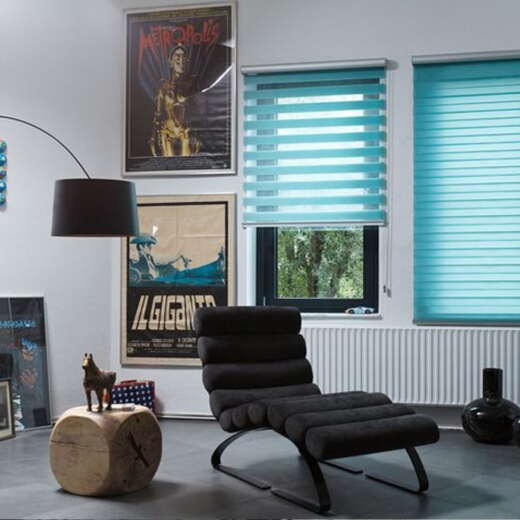 Рулонные шторы День Ночь в офис